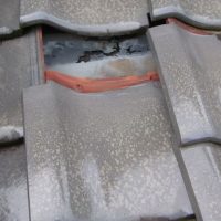 瓦のずれからの雨漏り 防水シートの破損